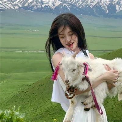 爱与黑暗的故事